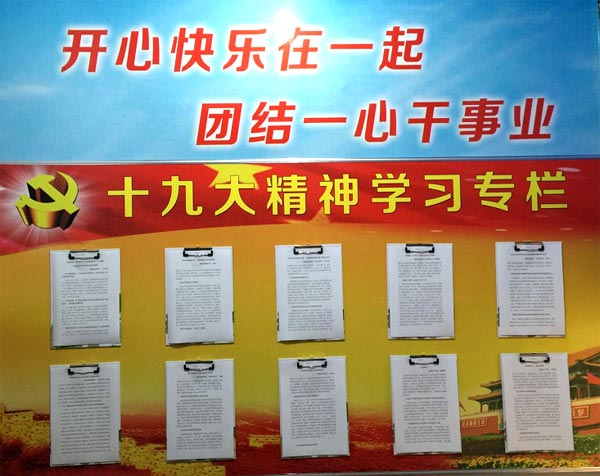 十九大學(xué)習(xí)展示