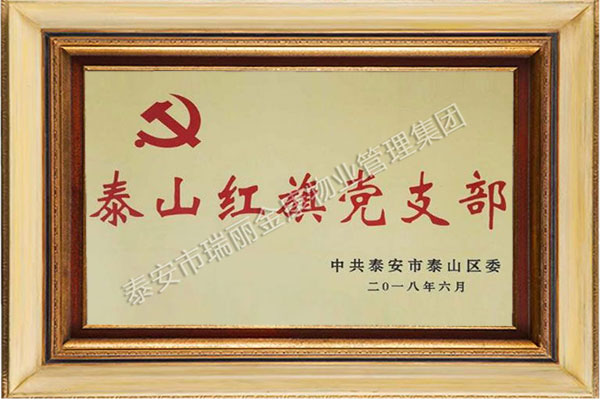 泰山紅旗黨支部